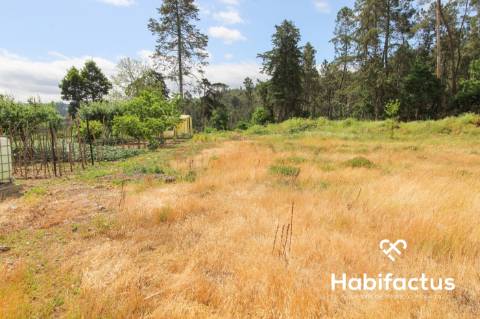 Terreno  Venda em Sul,São Pedro do Sul