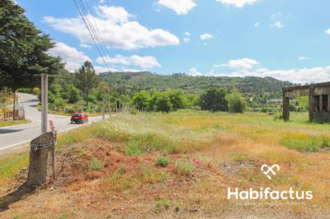Terreno  Venda em Sul,São Pedro do Sul