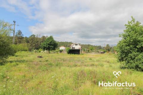 Terreno  Venda em Sul,São Pedro do Sul