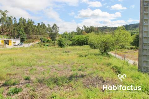 Terreno  Venda em Sul,São Pedro do Sul
