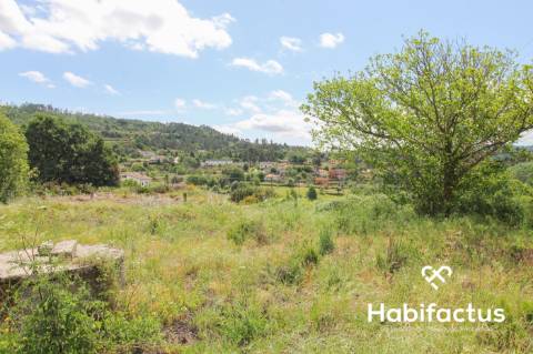 Terreno  Venda em Sul,São Pedro do Sul