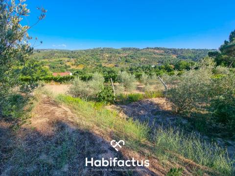 Quinta de características únicas com moradia T4 térrea para venda em Fragosela, Viseu