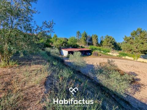 Quinta de características únicas com moradia T4 térrea para venda em Fragosela, Viseu