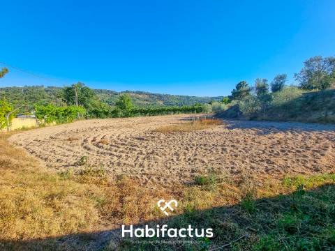 Quinta de características únicas com moradia T4 térrea para venda em Fragosela, Viseu