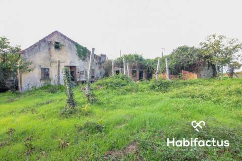 Moradia - Carregal do Sal