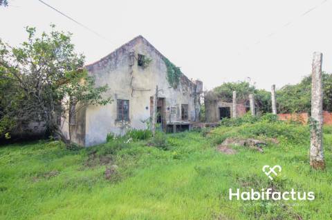 Moradia - Carregal do Sal