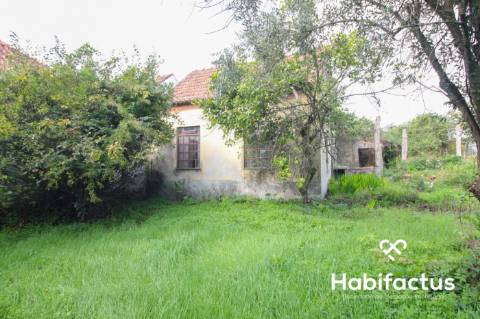 Moradia - Carregal do Sal