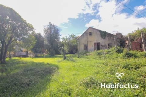 Moradia - Carregal do Sal