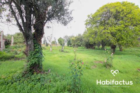 Moradia - Carregal do Sal