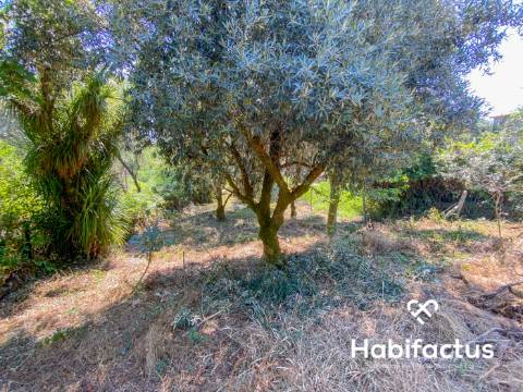 Moradia para reconstruir em Viseu