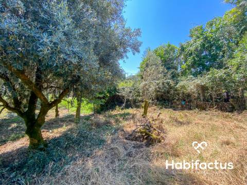 Moradia para reconstruir em Viseu