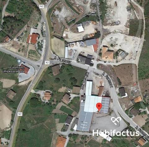 Armazém Castro Daire