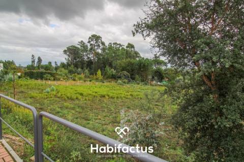 Lote rústico Carregal do Sal