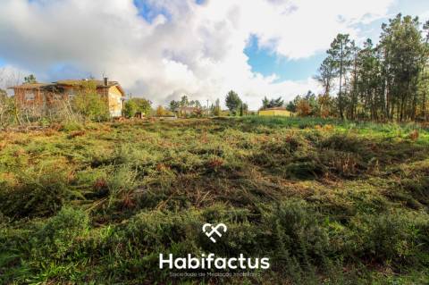 Terreno  Venda em Lordosa,Viseu