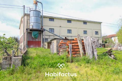 Pavilhão Industrial para venda em Fiais da Telha - Carregal do Sal - Viseu