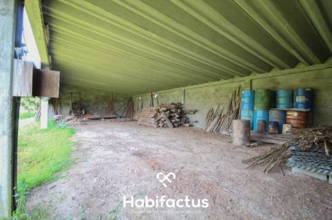 Pavilhão Industrial para venda em Fiais da Telha - Carregal do Sal - Viseu