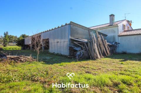Pavilhão Industrial para venda em Fiais da Telha - Carregal do Sal - Viseu