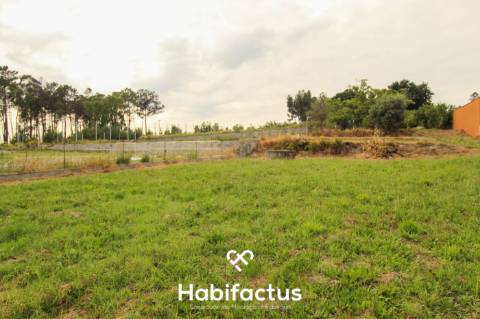 Terreno 2624m2 para construção 10min centro Mangualde e Nelas