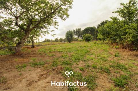 Terreno 2624m2 para construção 10min centro Mangualde e Nelas