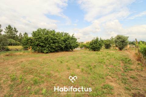 Terreno 2624m2 para construção 10min centro Mangualde e Nelas