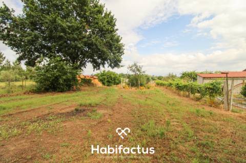 Terreno 2624m2 para construção 10min centro Mangualde e Nelas