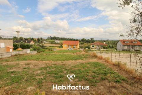 Terreno 2624m2 para construção 10min centro Mangualde e Nelas