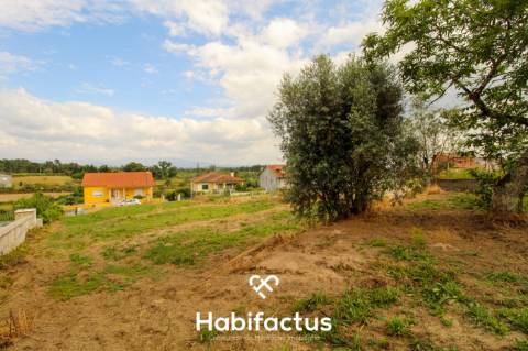 Terreno 2624m2 para construção 10min centro Mangualde e Nelas