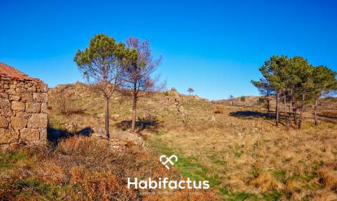 Quinta de Grandes Dimensões à Venda em Vila Cortes da Serra