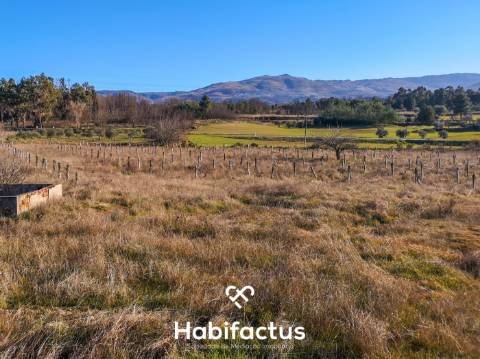 Quinta de Grandes Dimensões à Venda em Vila Cortes da Serra