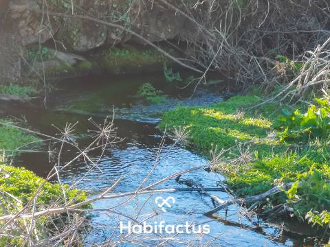 Quinta de Grandes Dimensões à Venda em Vila Cortes da Serra