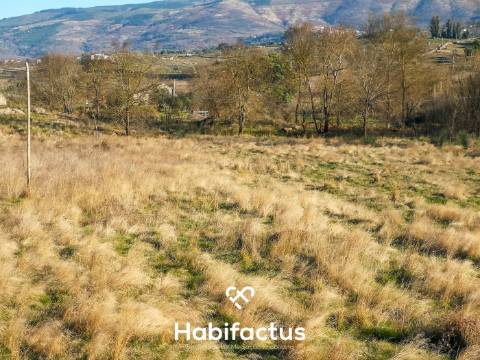 Quinta de Grandes Dimensões à Venda em Vila Cortes da Serra