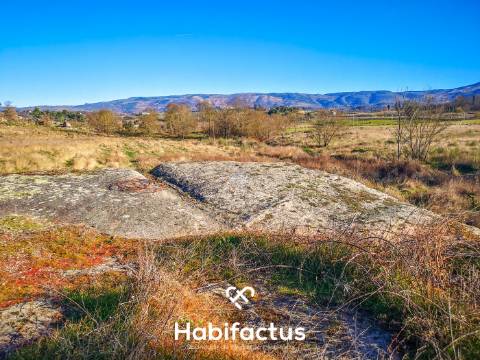 Quinta de Grandes Dimensões à Venda em Vila Cortes da Serra