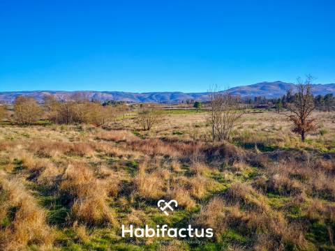 Quinta de Grandes Dimensões à Venda em Vila Cortes da Serra