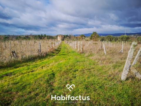 Quinta de Grandes Dimensões à Venda em Vila Cortes da Serra