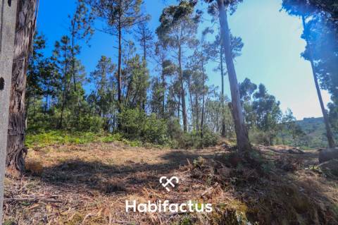 Terreno Rústico em Viseu