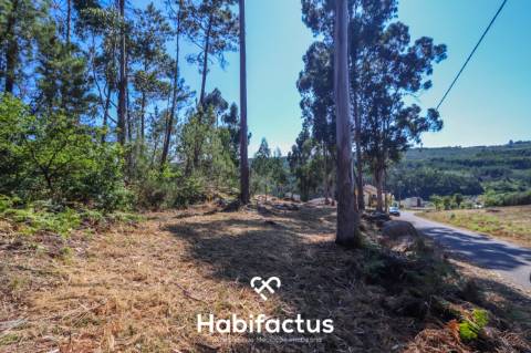 Terreno Rústico em Viseu