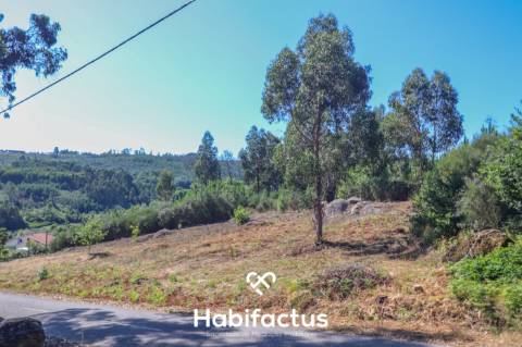 Terreno Rústico em Viseu