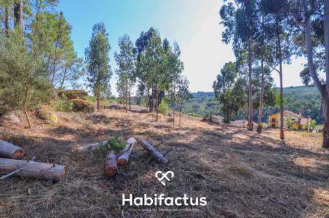 Terreno Rústico em Viseu