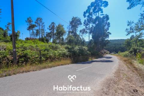 Terreno Rústico em Viseu