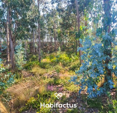 Terreno construção