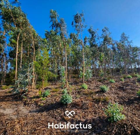 Terreno construção