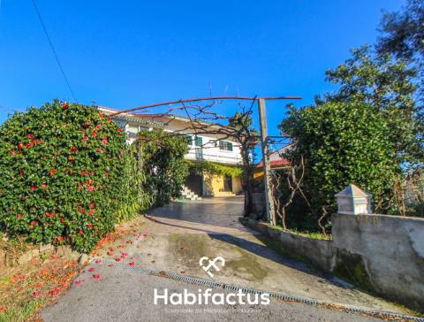 Quintinha para venda Viseu- São Pedro do Sul