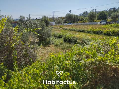Terreno à Venda em Nelas, Viseu