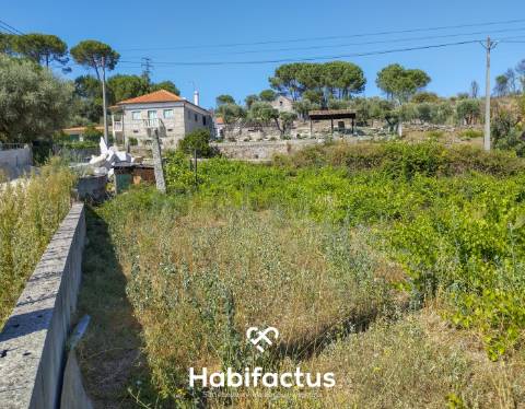 Terreno à Venda em Nelas, Viseu