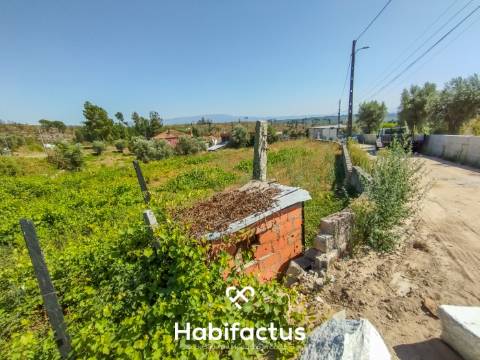 Terreno à Venda em Nelas, Viseu