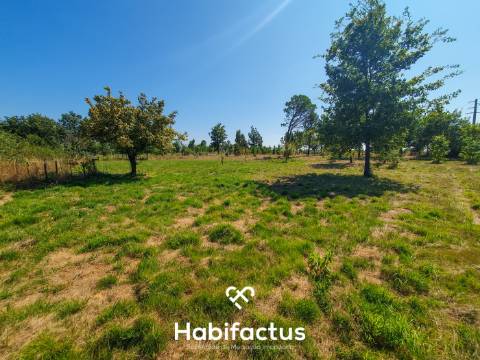 Terreno Rústico de 5.200m² em Vila Chá, Seia – Privacidade, Natureza e Potencial