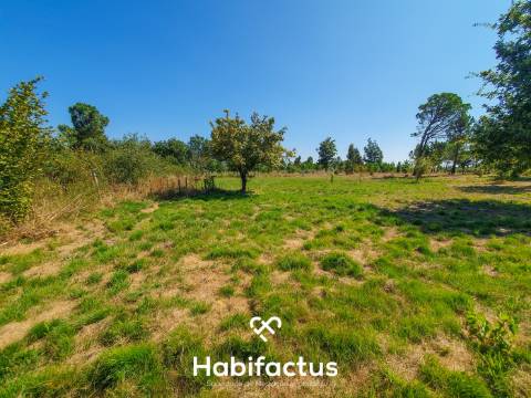 Terreno Rústico de 5.200m² em Vila Chá, Seia – Privacidade, Natureza e Potencial