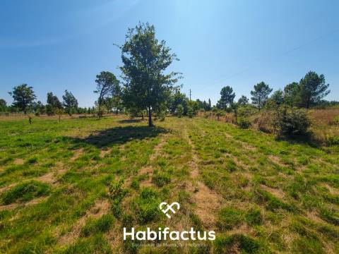Terreno Rústico de 5.200m² em Vila Chá, Seia – Privacidade, Natureza e Potencial