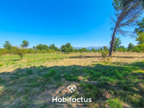 Terreno Rústico de 5.200m² em Vila Chá, Seia – Privacidade, Natureza e Potencial
