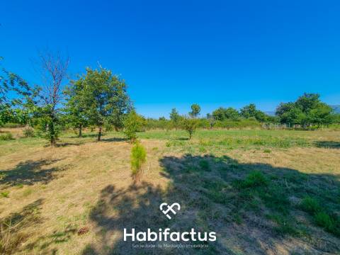 Terreno Rústico de 5.200m² em Vila Chá, Seia – Privacidade, Natureza e Potencial